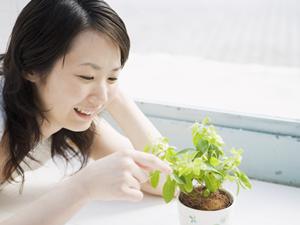 女性に大人気の菌活生活とは何か
